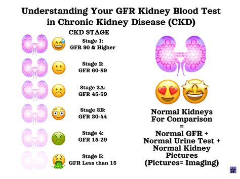 kidney blood test results borderline|Understanding your lab values and other CKD health numbers.